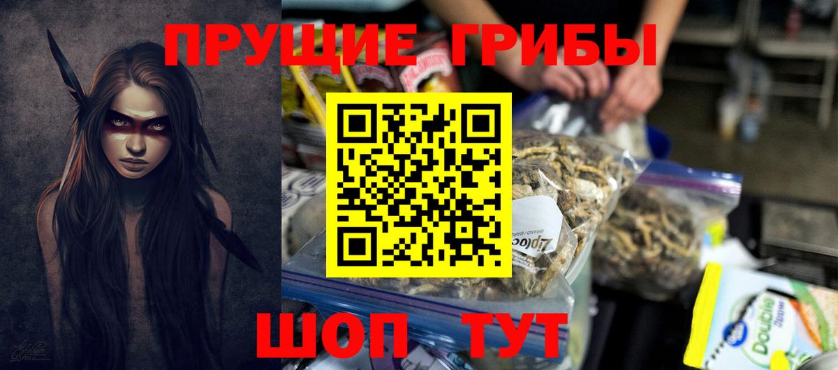 Избербаш  Галлюциногенные грибы прущие грибы  Галлюциногенные грибы Cubensis  Вход с VPN 